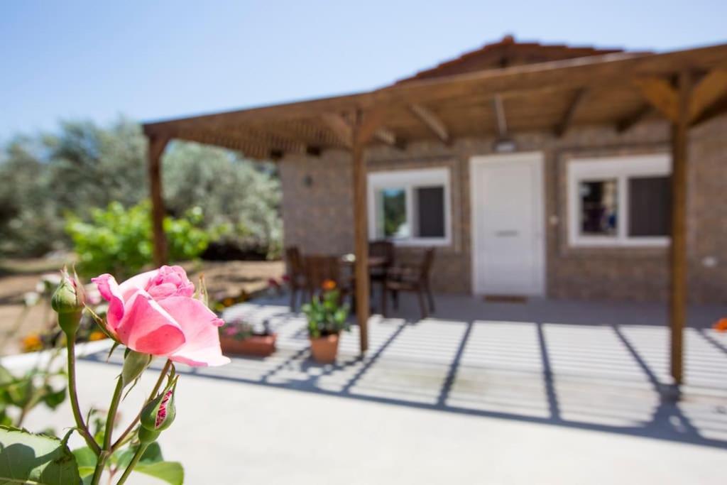 Serenity Studio Beach Home Afantou Luaran gambar